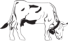 Cow Grazing Clip Art